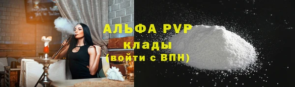 прущие грибы Арсеньев