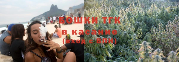 хмурый Аркадак
