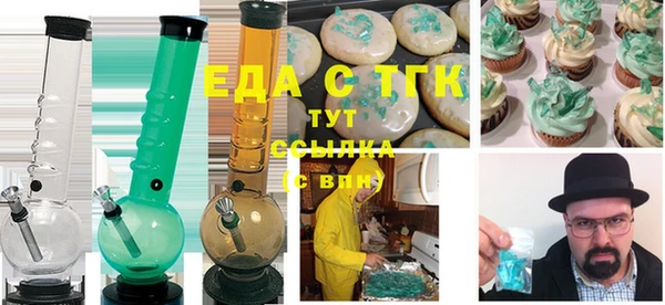 хмурый Аркадак