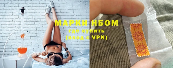 прущие грибы Арсеньев