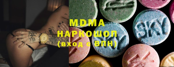 хмурый Аркадак