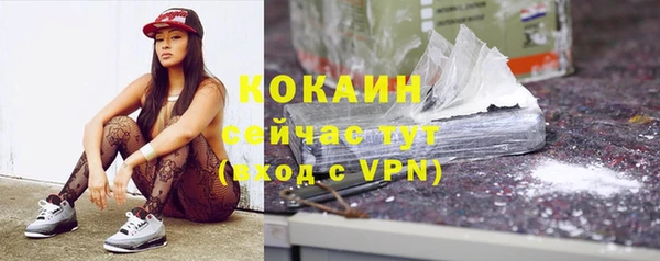 прущие грибы Арсеньев