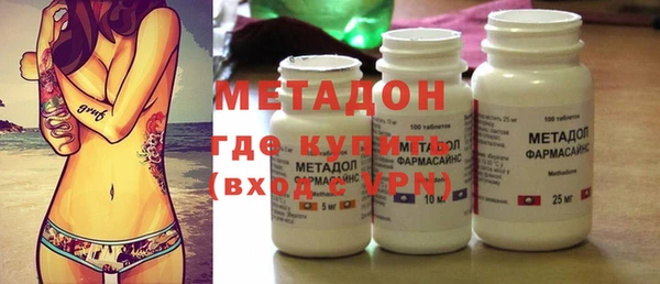 хмурый Аркадак