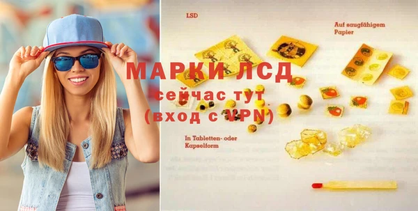 прущие грибы Арсеньев