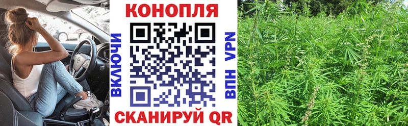 где можно купить OMG tor Канабис тримм Сунжа